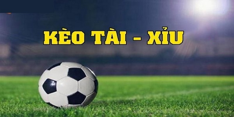 Hướng Dẫn Cách Tính Kèo Tài Xỉu Bóng Đá Dành Cho Người Chơi 4 Mẹo đặt cược tài xỉu luôn thắng từ cao thủ