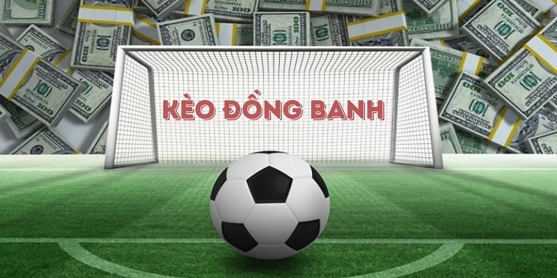 Kèo Đồng Banh: Giải Thích Cụ Thể Dành Cho Người Chơi Mới Bắt Đầu 4 Chia sẻ kinh nghiệm chọn kèo đồng banh từ các chuyên gia